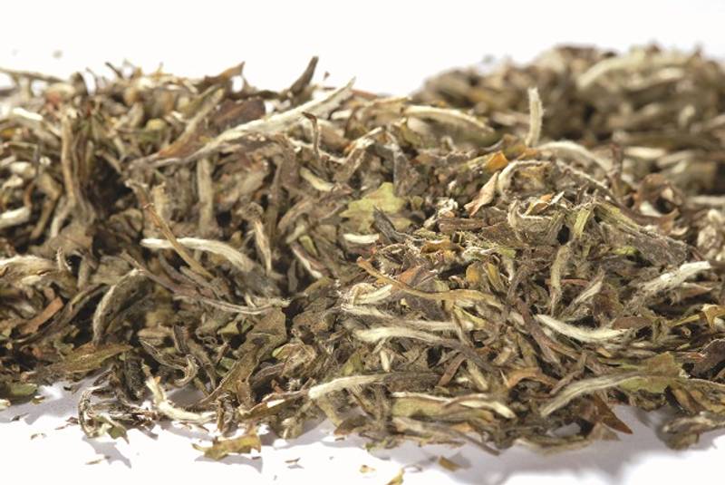 Hvit te Pai mun tan 1kg økologisk
