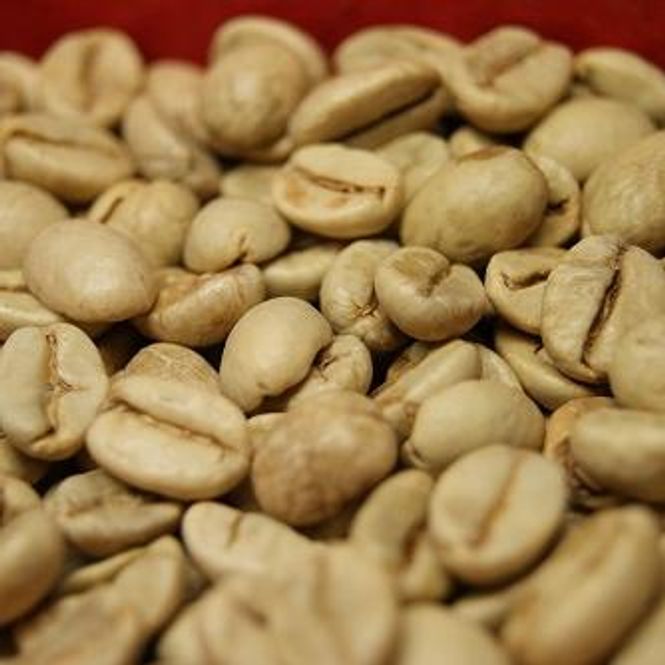 Main Image India Monsooned Malabar, UNROASTED 1,5kg